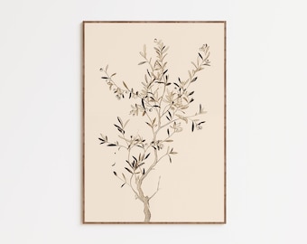 Vintage Olive Tree Branch Art Print | Rustic Mediterranean Decor