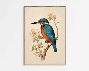 Vintage Kingfisher Bird Wall Art, Botanical Bird Illustration Print, Cottagecore Nature Decor, Antique Natural History Art, Digital Download
