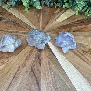 Crystal Turtle Carving Flower Agate, Moonstone,and Agate