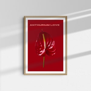 Amour d'Anthurium