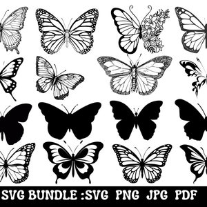 Bundle SVG papillon - Bundle PNG papillon - Clipart papillon - papillon SVG coupe fichiers pour Cricut, Silhouette de papillon, vecteur de papillon
