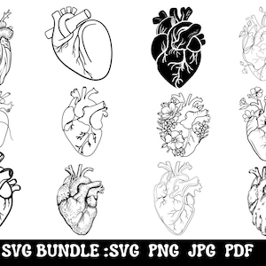 Anatomical Heart svg bundle, Flower Heart Svg, Nurse Life, Human Heart Svg, Heart S, Anatomy Svg, Medical Svg, Cut File Cricut, Silhouette