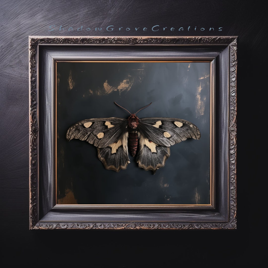 Vintage Moth Print Digital Download Dark Academia Decor Dark ...