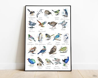 New Zealand Native Birds - Maori & English Watercolour Art Print – Wall Art - Digital Download