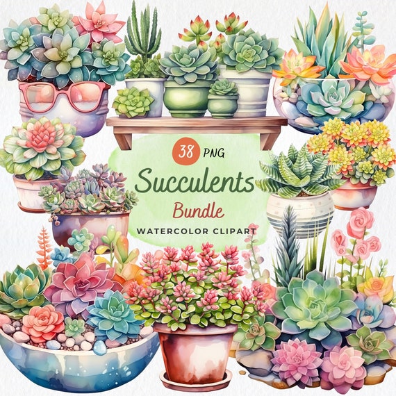 florida wild flower seeds Florida Wildflower Seed Mix