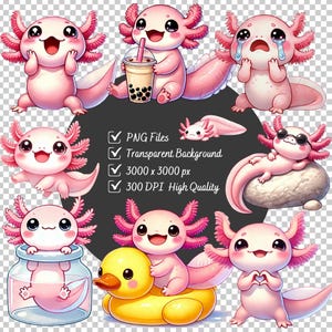 May include: A collection of pink axolotl illustrations in various poses. One axolotl is holding a drink, another is crying, and one is wearing sunglasses. The image includes text indicating PNG files, a transparent background, 3000 x 3000 px, and 300 DPI.