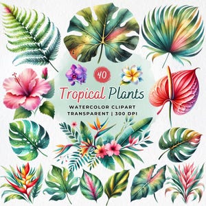 Tropische planten clipartbundel, aquarel tropische png, groen clipart, tropische bladeren en bloemen, Hawaii png, zomer, digitale download