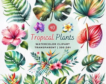 Tropical Plants Clipart Bundle, Watercolor Tropical PNG, Greenery Clipart, Tropical Leaves & Flowers, Hawaii PNG, Summer, Digital Download
