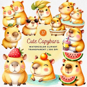 Paquete de imágenes prediseñadas de Capybara, lindos archivos digitales de Capybara, imágenes prediseñadas de acuarela, Kawaii Capybara, arte infantil, Valentines Capybara, sublimación