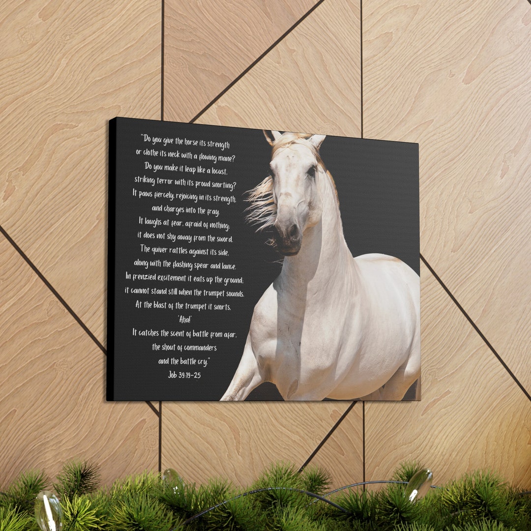 White Stallion Horse Canvas Print - Job 39:19-25 Bible Scripture - Etsy