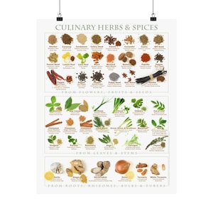 Peut inclure: Une affiche éducative blanche intitulée Culinary Herbs & Spices, présentant des illustrations organisées de divers ingrédients classés par fleurs, fruits, graines, feuilles, tiges, racines, rhizomes, bulbes et tubercules avec leurs noms.