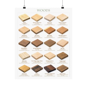 Puede incluir: Un póster titulado "WOODS" muestra una cuadrícula de muestras de madera, cada una un bloque cuadrado. Las muestras varían en color, desde beige claro hasta marrón oscuro, mostrando diferentes vetas de madera. Cada muestra está etiquetada con el tipo de madera y su origen.