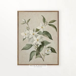 White Jasmine Botanical Print | PRINTABLE Vintage Floral Wall Art | Romantic Nature Digital Decor for Victorian or Country Homes