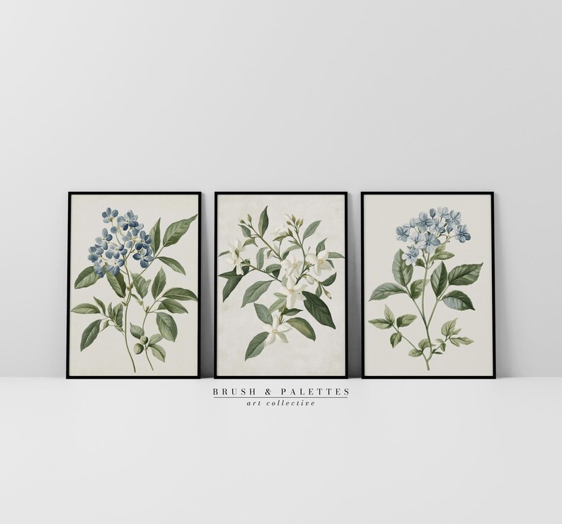Hydrangea Botanical Print Set: Vintage Floral Wall Art (digital ...