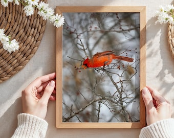 Kardinaal vogel in winter boom originele natuurfotografie print of canvas muurkunst voor vogelliefhebbers