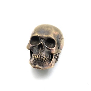 May include: A small, detailed bronze skull sculpture with a textured surface. The skull has a realistic appearance with visible teeth and eye sockets.