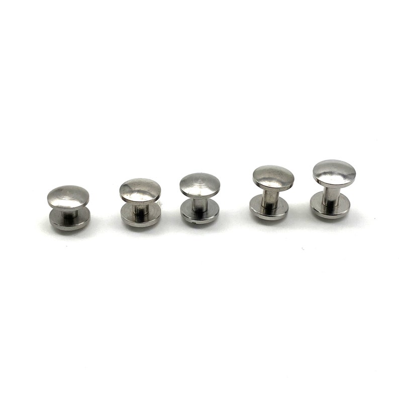 May include: Five silver metal rivets of different sizes. The rivets have a domed head and a cylindrical shank.
