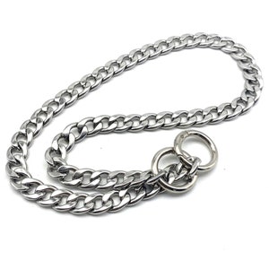 May include: A silver curb chain dog collar with a double ring clasp.