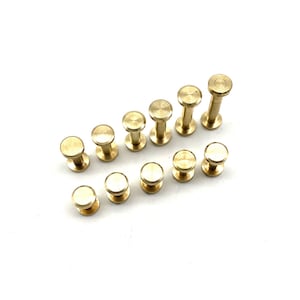 Rivetti a vite Chicago in ottone da 8 mm, rivetti a vite in pelle, bottoni per rilegatura di libri