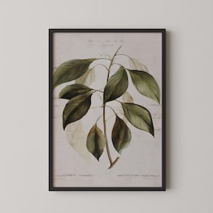 Arte mural botánico antiguo / Decoración de granja vintage imprimible / Descarga de decoración verde neutro / PTBT-11