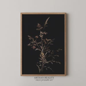Dried Wildflower Botanical | Dark Moody Plant PRINTABLE Wall Art | Vintage Nature Photography | PTBT-07