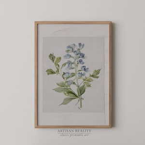 Farmhouse Botanical Print | Vintage Blue Flower Watercolor PRINTABLE Download | PTBT-06