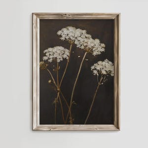 Wildflower Art Print | Queen Anne’s Lace Botanical | Moody Rustic Floral PRINTABLE | PTBT-09