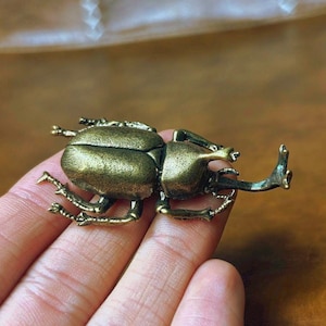 Vintage Brass Beetle Paperweight, Unique Desk Decor, Insect Paperweight Gift, Antique Style Office Accessory, Collectible Brass Bug