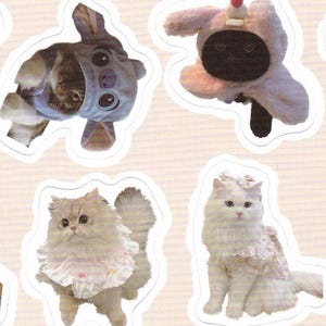 18 different cat stickers, funny cats, memes