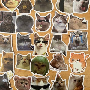 25 adesivi di gatti diversi e casuali, gattini, meme, adesivi, divertenti