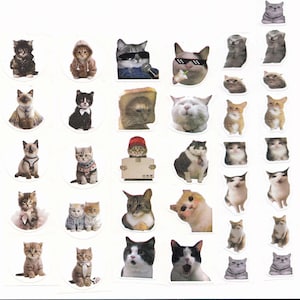 35 cat stickers, kitties, memes, stickers, funny, various sizes