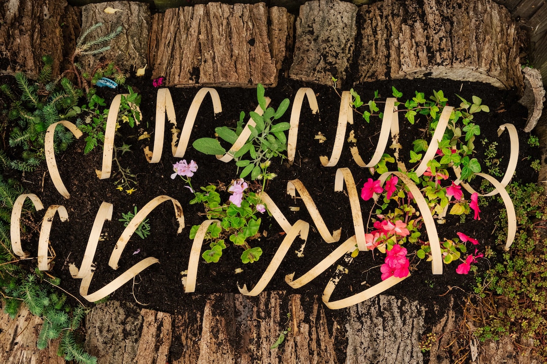 15 Units Catrepellent Protect Your Flowerbeds and Veggie Patches From