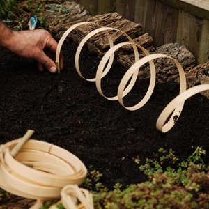 Bamboo Plant Protector: Cat Repellent for Flowerbeds (3 Units) Protect Your Flowerbeds and Veggie Patches from Cats Spoiling Your Plants