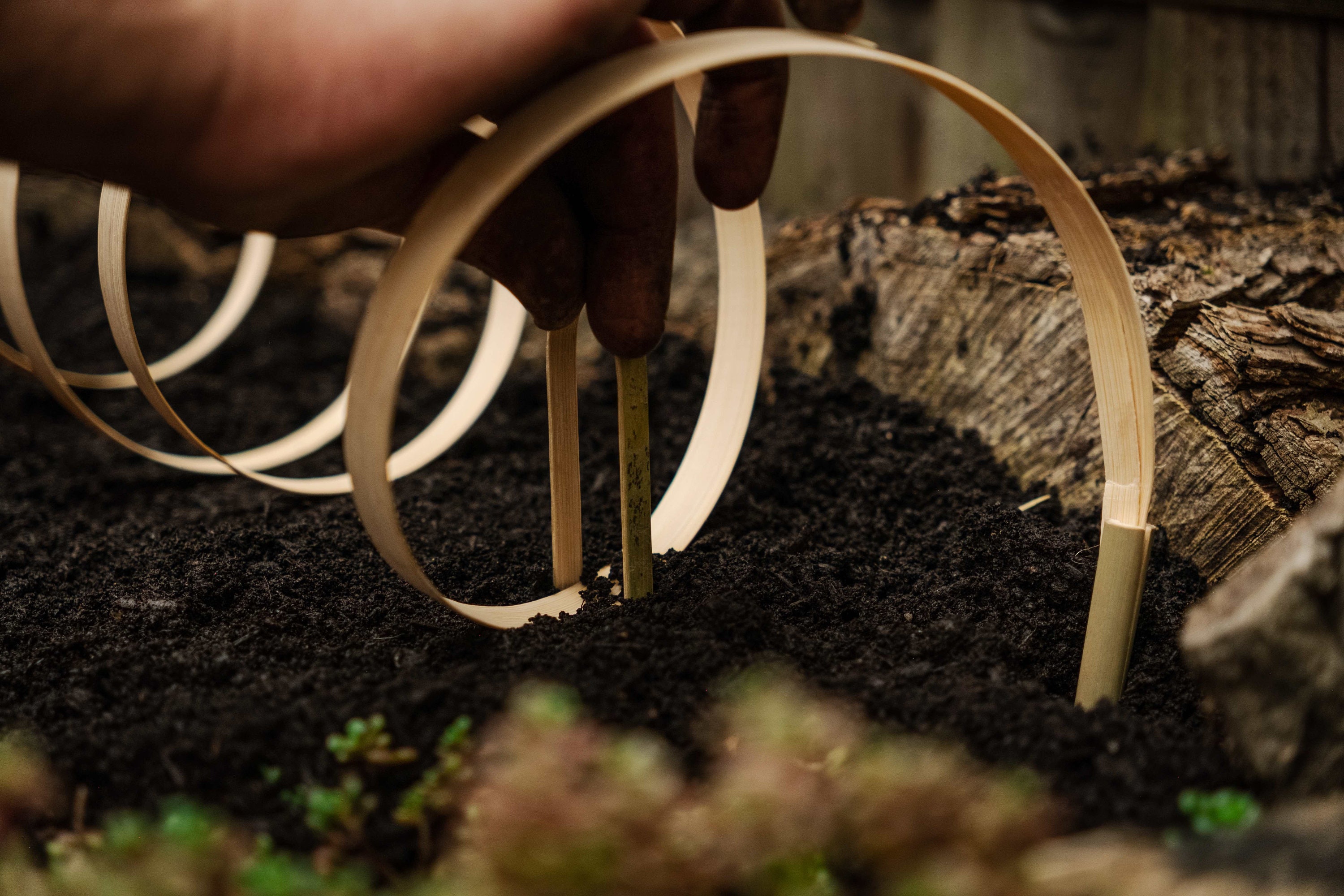 15 Units Catrepellent Protect Your Flowerbeds and Veggie Patches From