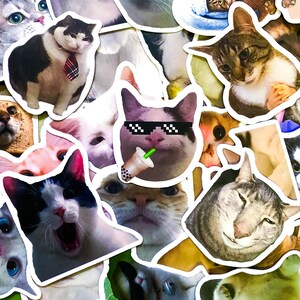 Confezione da 100 adesivi a forma di gatto in costume, adesivi divertenti con gattini, adesivi divertenti per gli amanti dei gatti, adesivi impermeabili per album di ritagli, Kindle