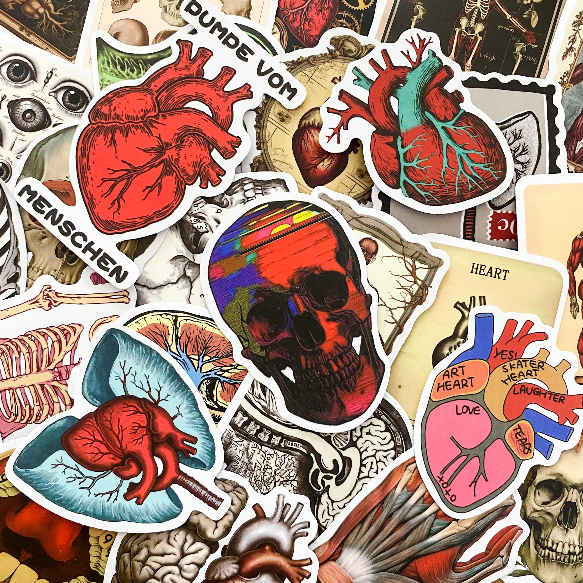 Sticker Humen 50pcs Anatomy Stickers Pack, Human Organ Stickers, Medical Illustration ...