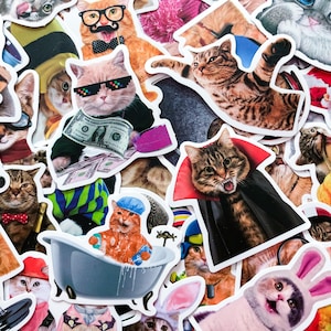 Confezione da 50 adesivi a forma di gatto da vestire, adesivi divertenti e realistici a forma di gatto per feste per bambini e amanti dei gatti, adesivi impermeabili a forma di gatto per laptop e bagagli.