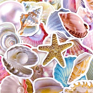 100 pegatinas de conchas marinas, pegatinas de mar, pegatinas de estrellas de mar y conchas marinas, pegatinas impermeables inspiradas en el océano para diario, álbum de recortes, computadora portátil