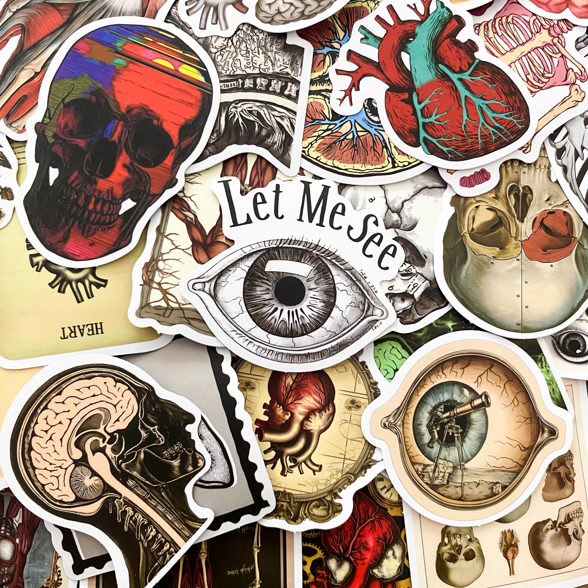 Sticker Humen 50pcs Anatomy Stickers Pack, Human Organ Stickers, Medical Illustration ...