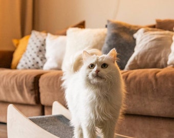2-in-1-Kratzliege für Katzen: Stilvolles Design, glückliche Katze, intakte Möbel. Sorgen Sie dafür, dass Ihre Katze zufrieden ist und Ihr Zuhause schön bleibt