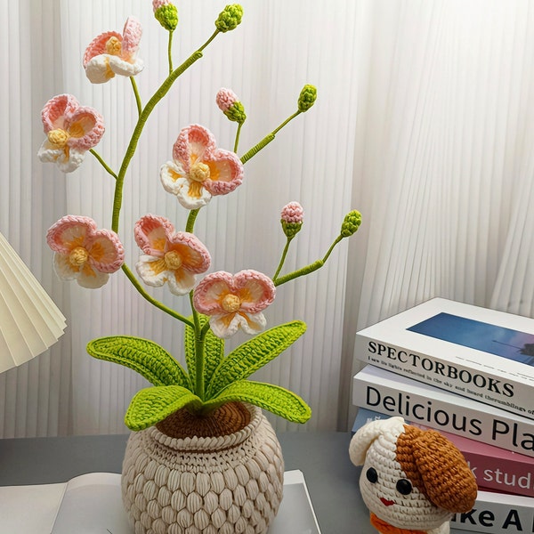 Orchidées multicolores, Pots de fleurs au crochet, Plantes en pot au crochet, Décoration florale en tricot, Fleur éternelle, Joli cadeau pour maman