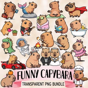 Fun Capybara bundle - Funny and cute Sublimation PNG designs - Cartoon clip art - Capybara sticker pack - Kawaii capybara printables image 1