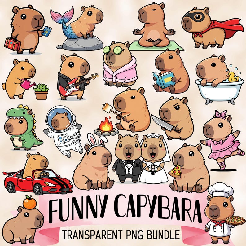 Fun Capybara bundle - Funny and cute Sublimation PNG designs - Cartoon clip art - Capybara sticker pack - Kawaii capybara printables image 1
