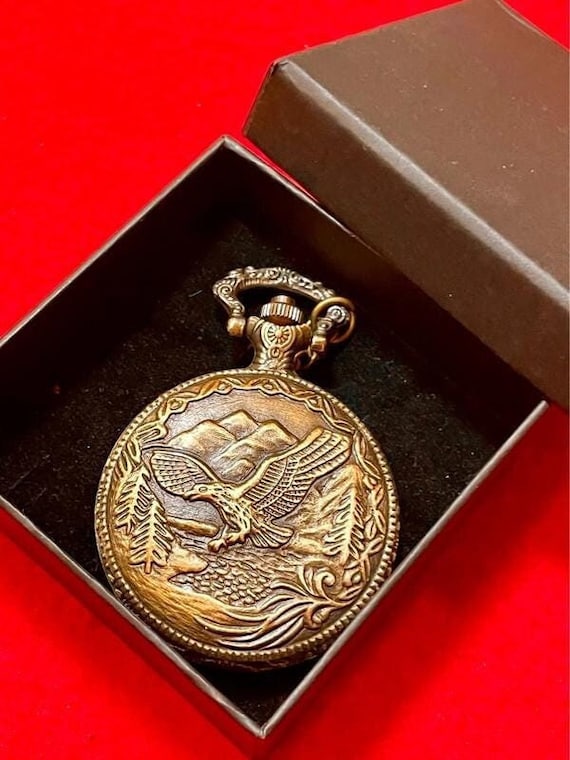 USA United States of America Pocket Bald Eagle in Flight