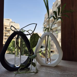 May include: Two decorative vases, one black and one white, each holding a glass tube with a plant inside. The vases have a teardrop-shaped design. The background shows a cityscape and a clear blue sky.