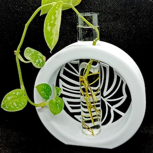 Puede incluir: Macetero de cerámica blanca con un diseño de hoja recortada. Un tubo de ensayo de vidrio transparente con una planta y agua se inserta en el macetero.