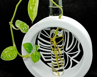 Estación de propagación (archivo STL, impresión 3D) / Soporte decorativo para tubos de ensayo, esquejes de plantas, soporte para propagación de raíces / Regalo para amantes de las plantas / Descarga digital