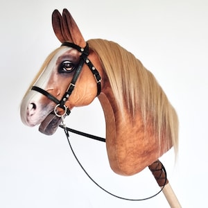 Champion hobby horse