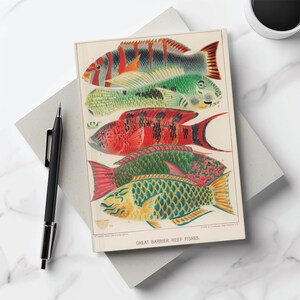 Hardcover Journal, Fish of the Great Barrier Reef, Ocean Wildlife Notebook, Marine Life Diary, Underwater Creatures Sketchbook, Scuba Diving