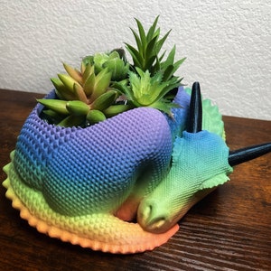 Sleepy Dragon Candy Dish / Planter